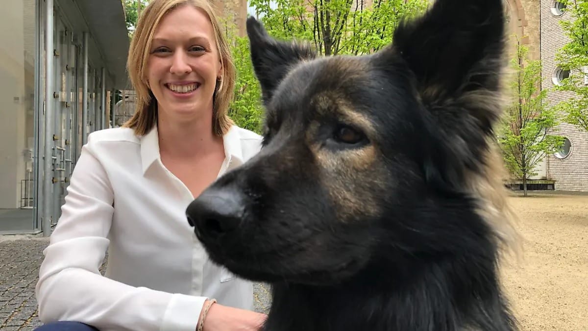 Für traumatisierte Opfer: Hunde als Helfer vor Gericht