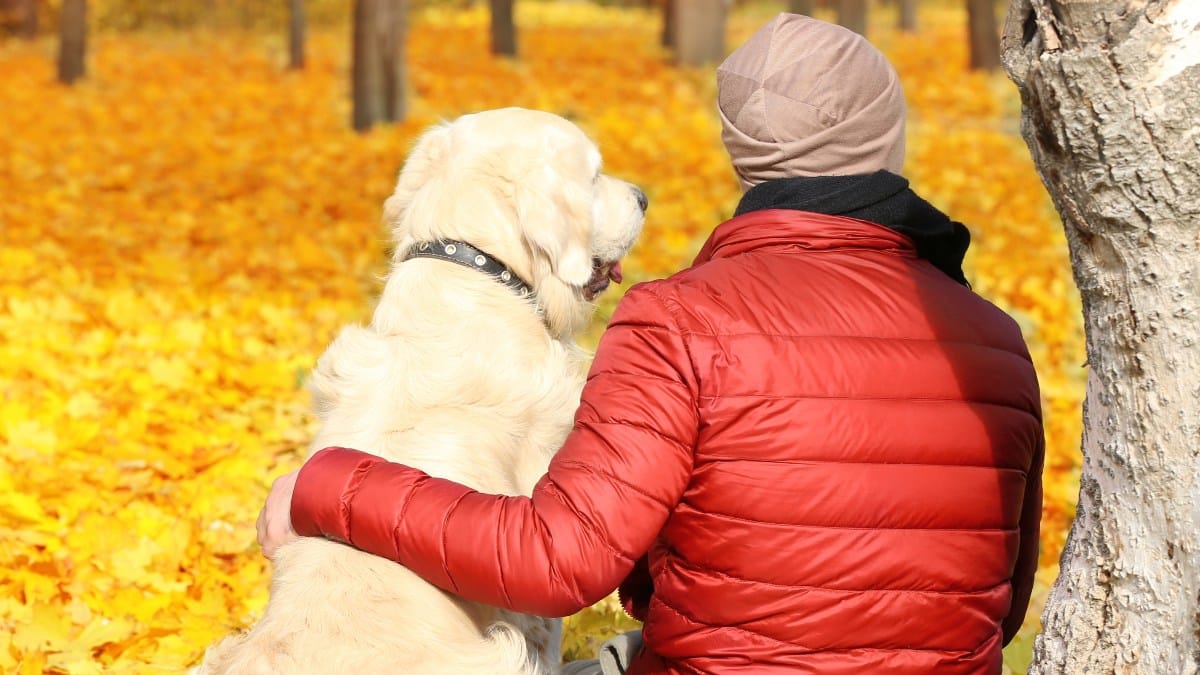 Anzeichen für wahre Liebe bei Hunden