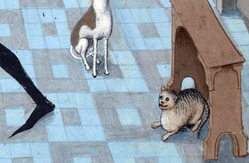 gato medieval