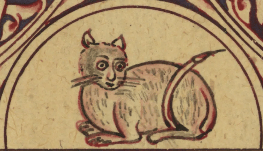 gato medieval