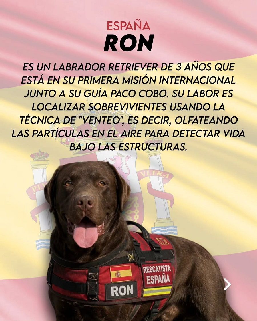 ron-perro-rescate-Bomberos-Murcia