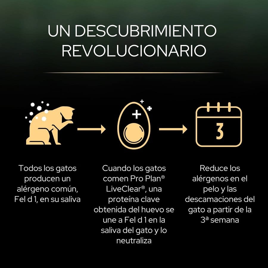 infografia-live-clear-gatos