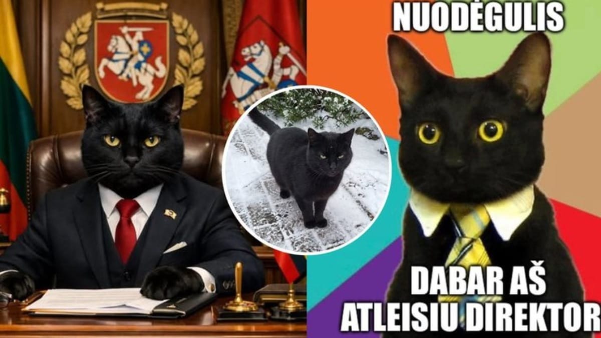 Nuodėgulis im Anzug