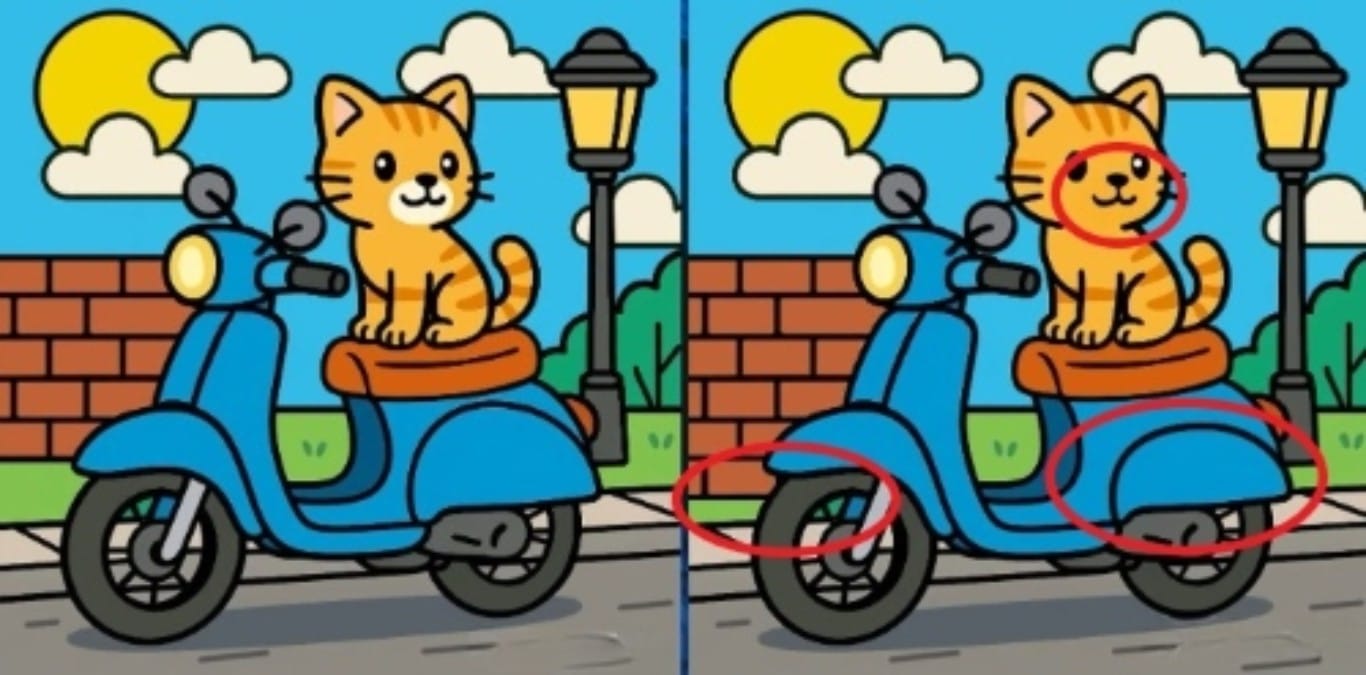 Katze auf Roller - die Lösung