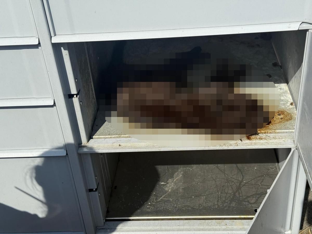 Katze tot im Schließfach gefunden