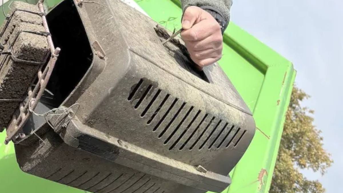 Katze in Transportbox ertränkt