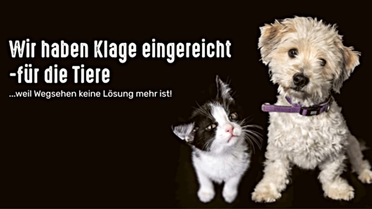 Tierschützer verklagen Deutschland