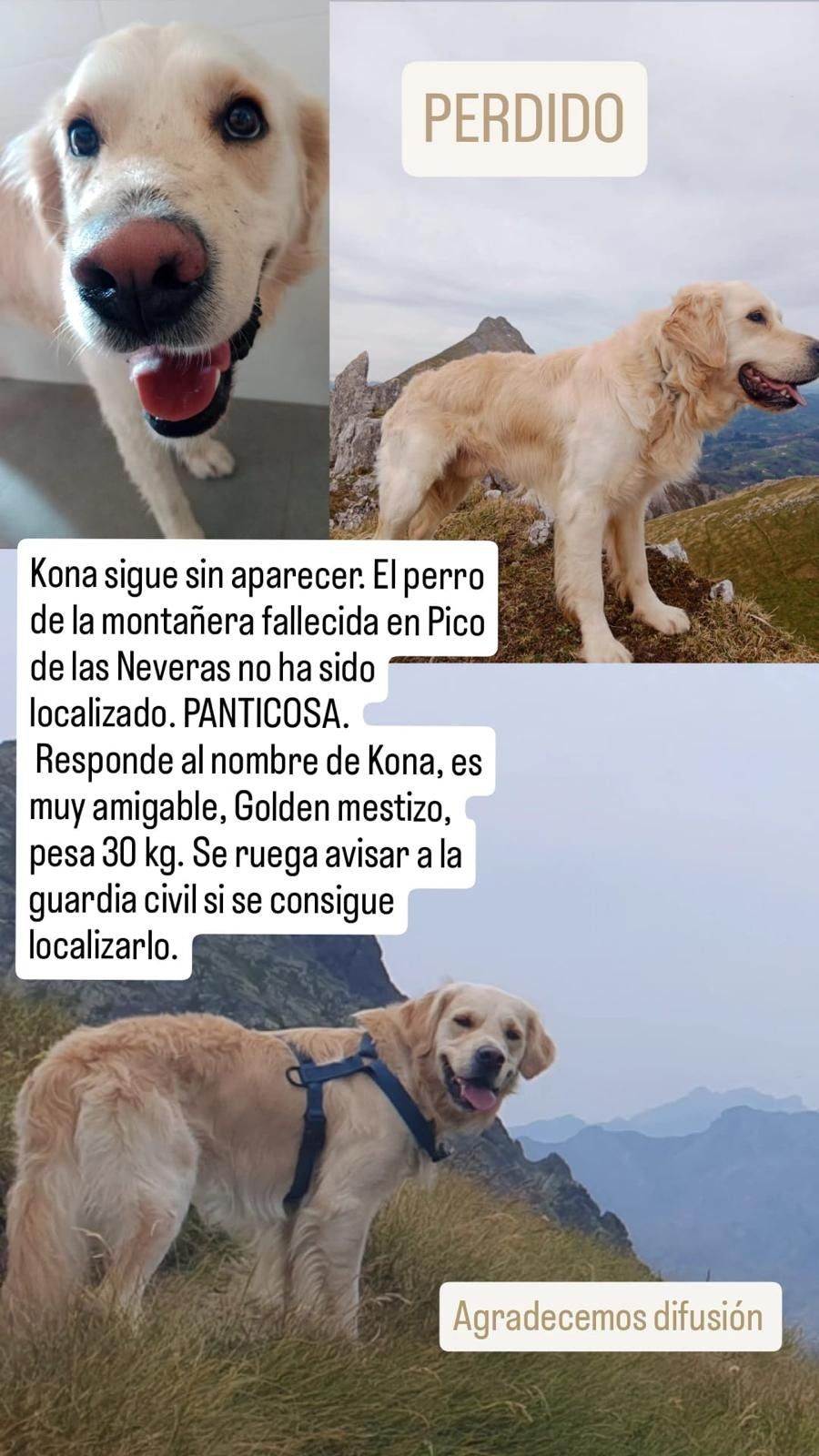 kona-perra-perdida-pirineos