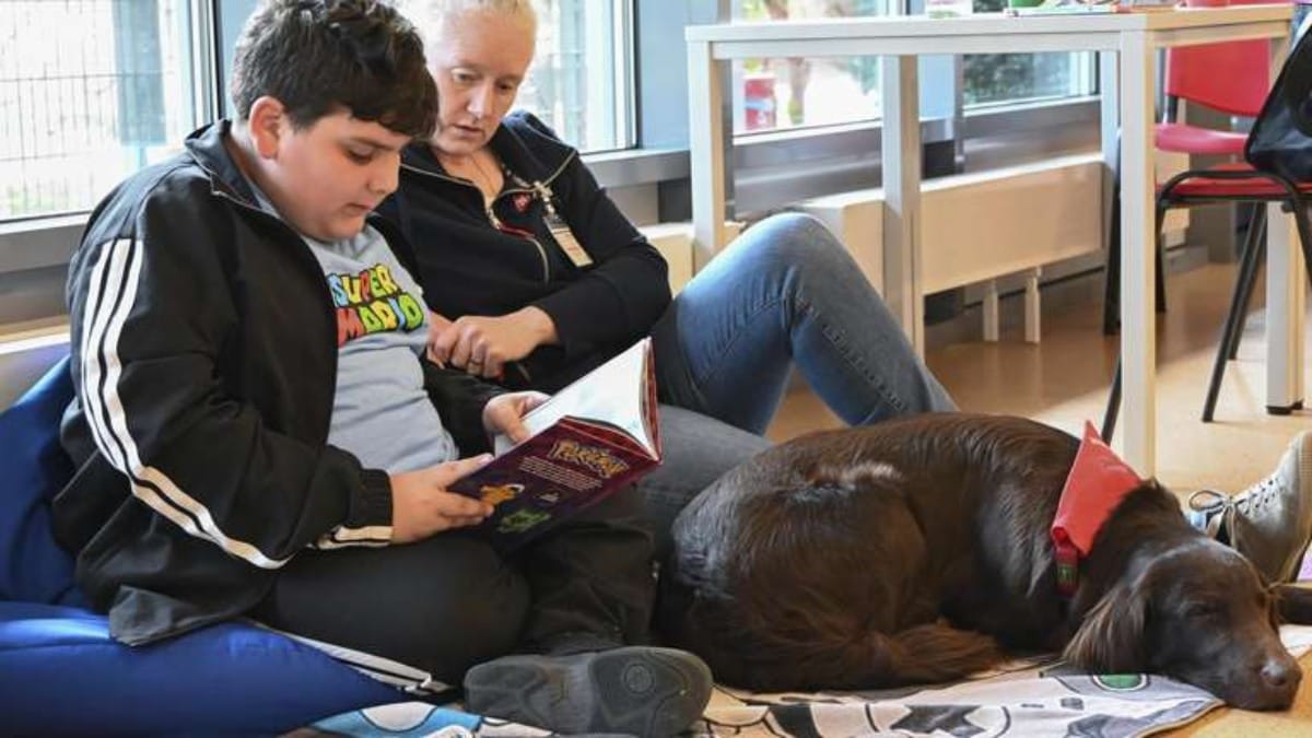 Lesehunde jetzt auch in Deutschland