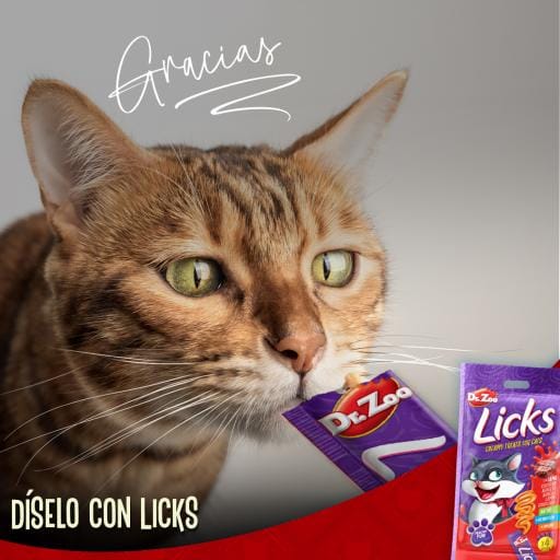 licks-de-dr-zoo-snack-liquido-gatos