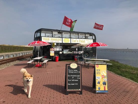 Mag een hond kibbeling?