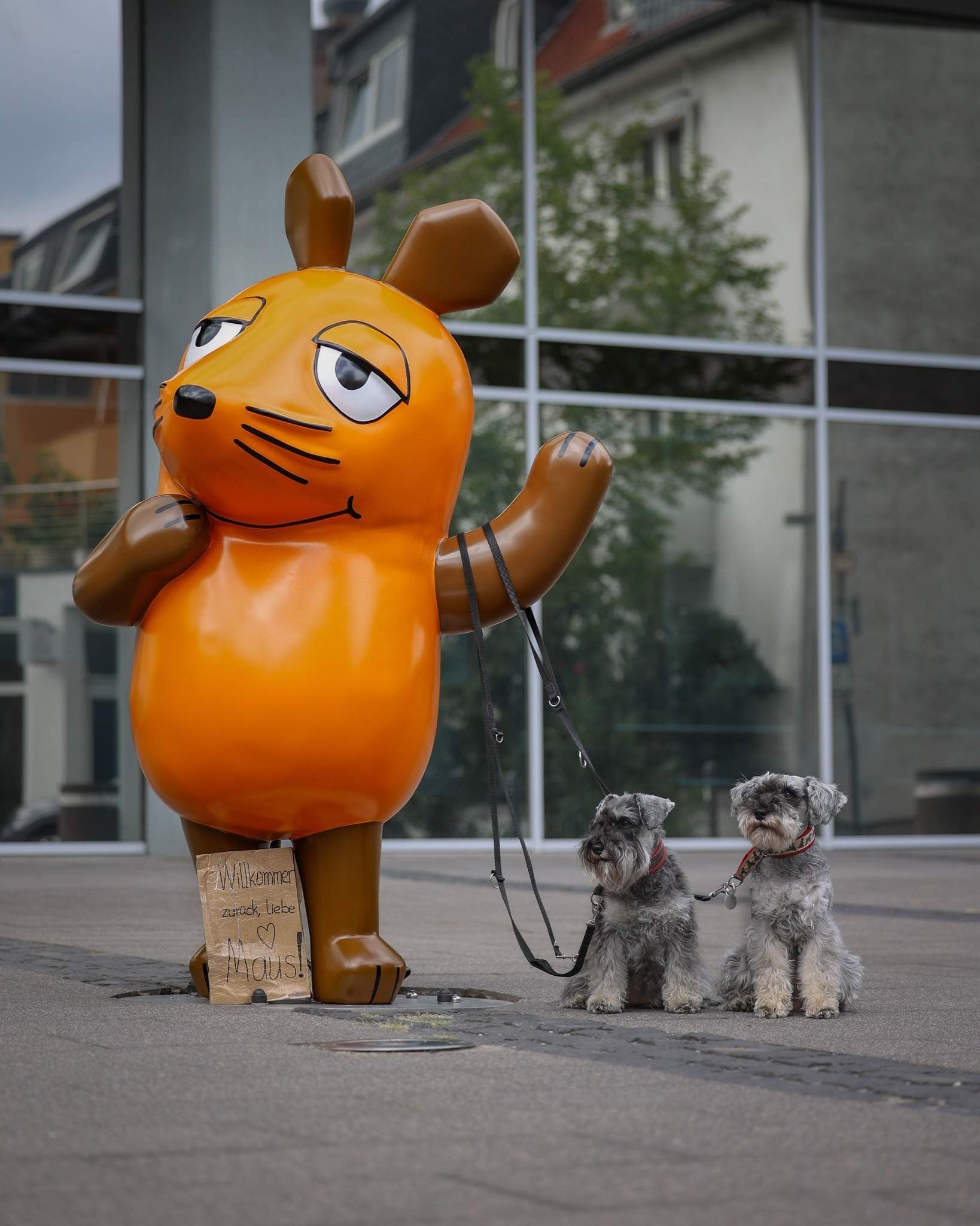 Maus in Köln Bodyguards