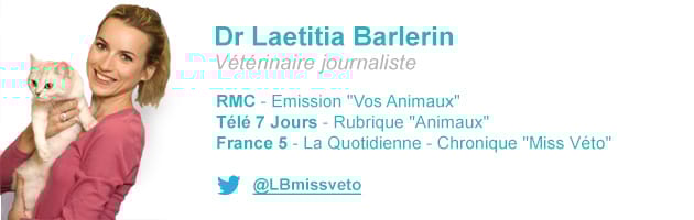 Laetitia barlerin miss véto