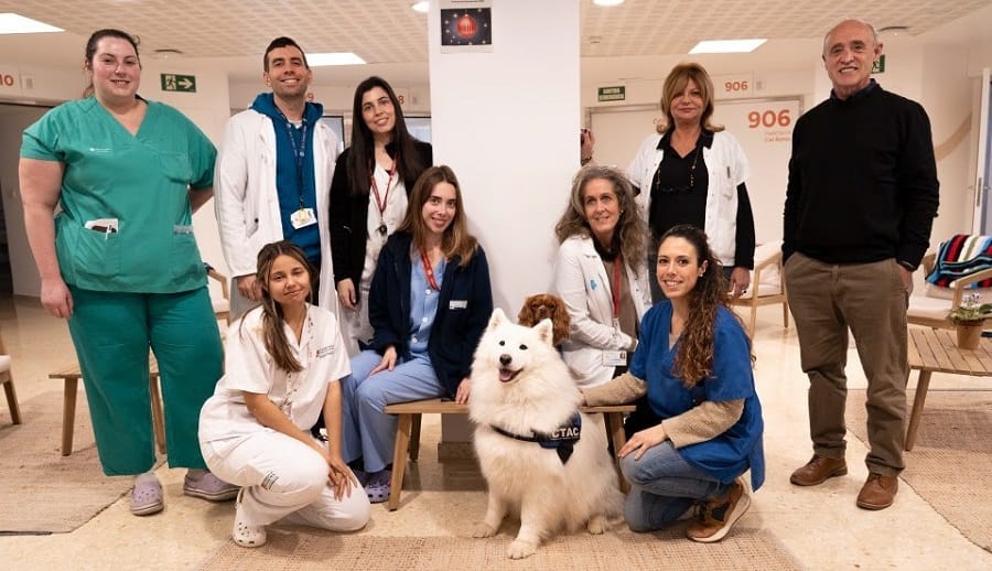 mushu-keisy-perros-terapia-Hospital-de-Bellvitge