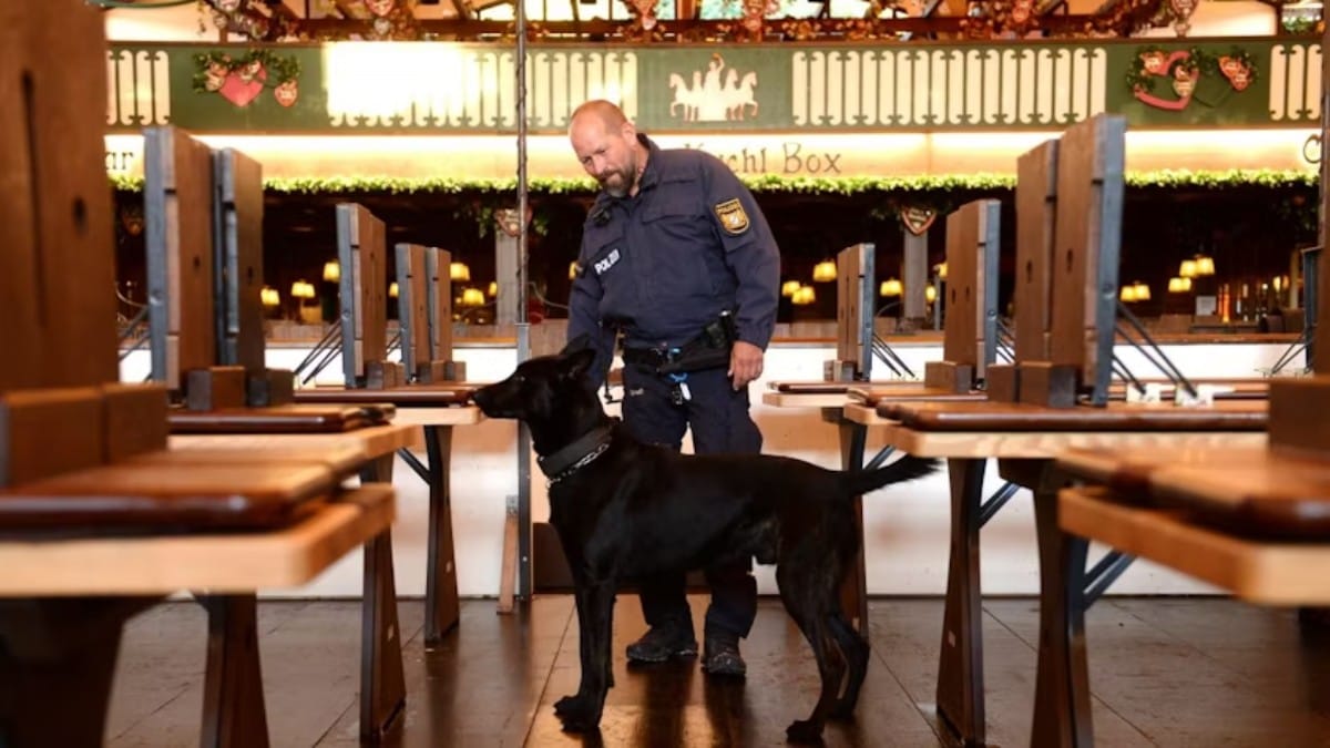 Spürhund auf der Münchner Wiesn