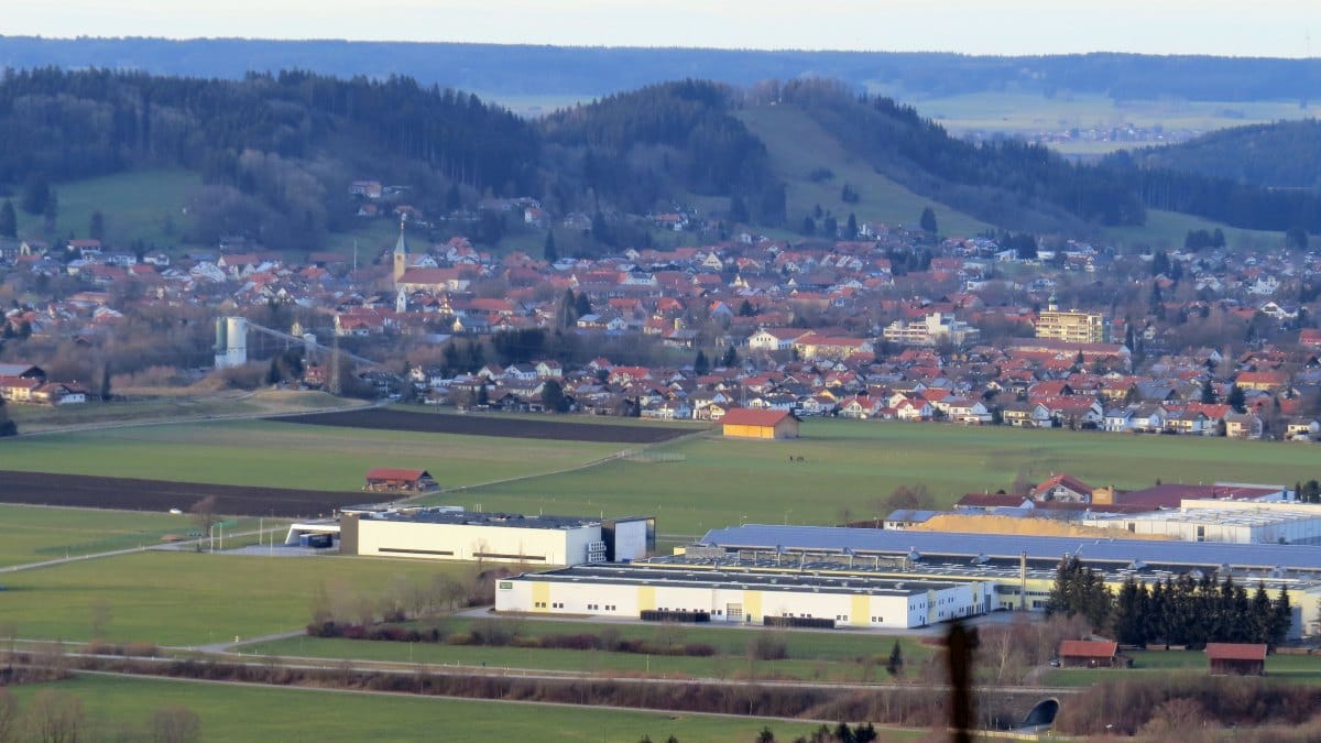 Schuss auf Katze in Oberbayern