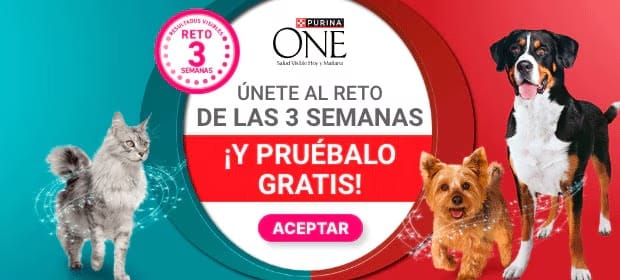 purina-one-reto-3-semanas-2026