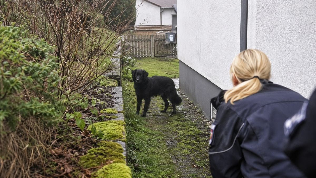 Herscheid: Kontrollen, um Schwarzhunde aufzuspüren