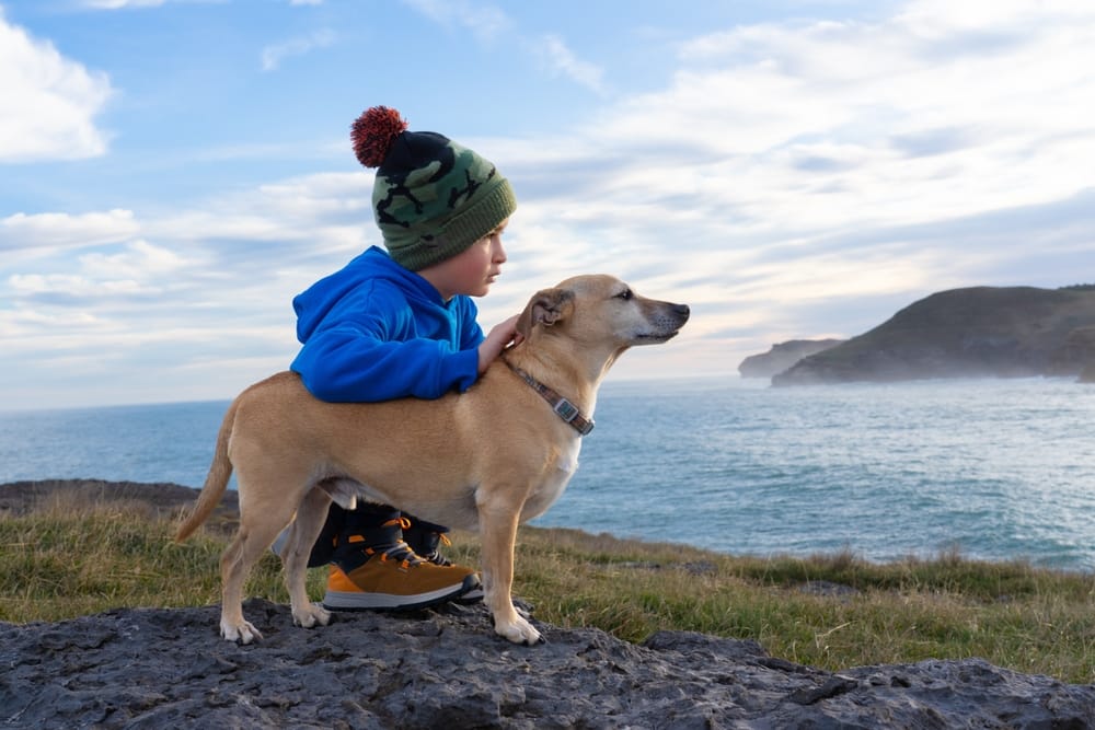 niño con perro en Galicia