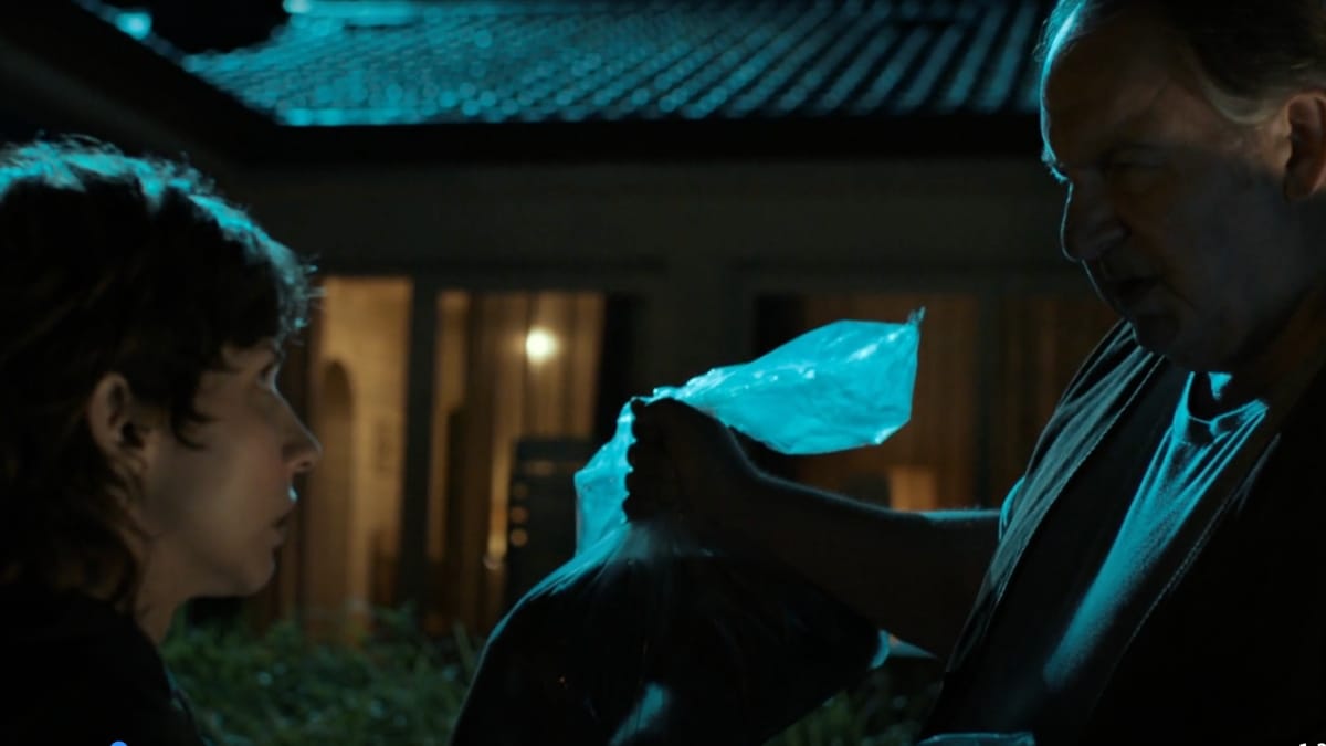 Tatort Katze wird getötet