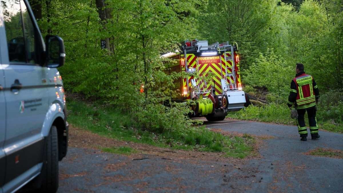 Wuppertal: Hund buddel Bombe aus
