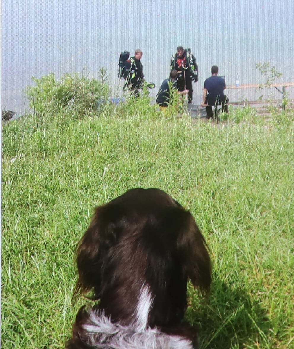 Pflegeheim will Hunde-Opa rauswerfen