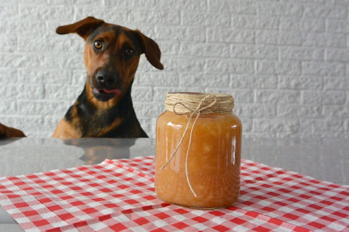 Mag een hond appelmoes?