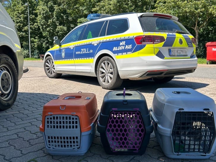 Tierschmuggler bei A2 Kontrolle erwischt