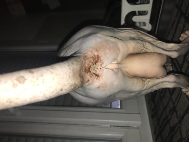 Tache brune apparues