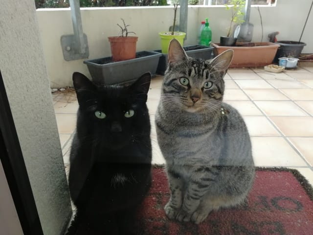 Mes deux sdf