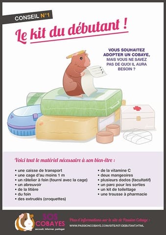Les 6 règles d'or à respecter IMPÉRATIVEMENT quand on a un cobaye .