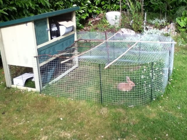 Comment éviter que le foin ne soit mouillé pour mon lapin qui vit dans un clapier ?