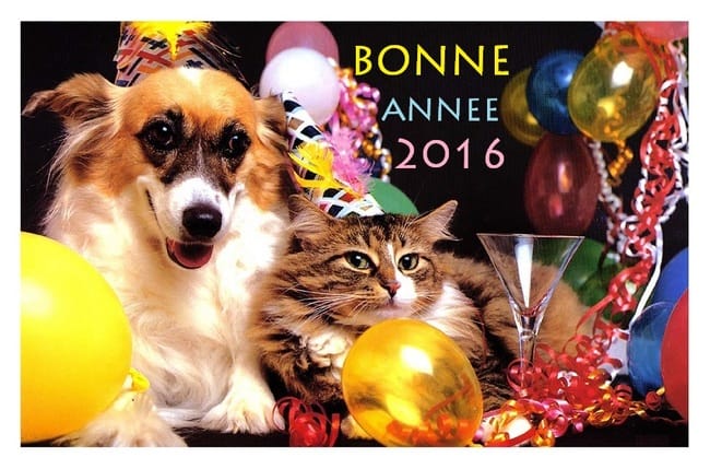 Bonne année :D