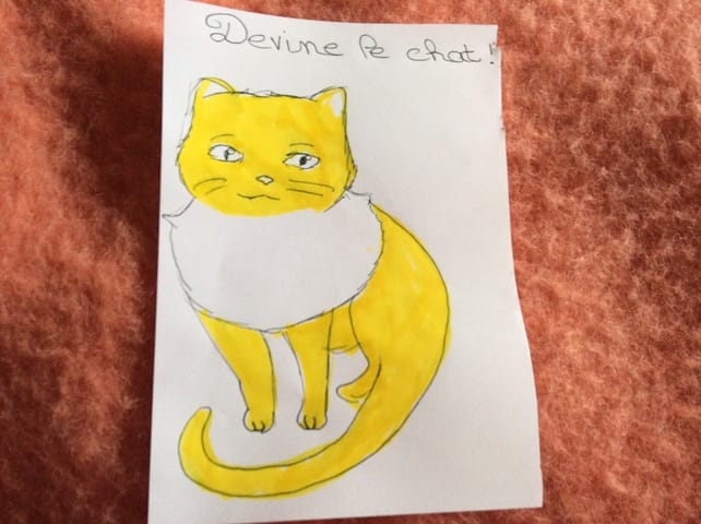 {Jeu} ~ Devine le chat de LGDC