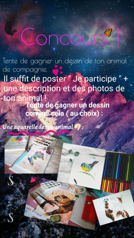 Concours - tentez de gagner un dessin de votre animal