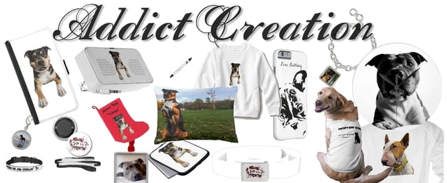 Vos animaux partout dans votre Quotidien !