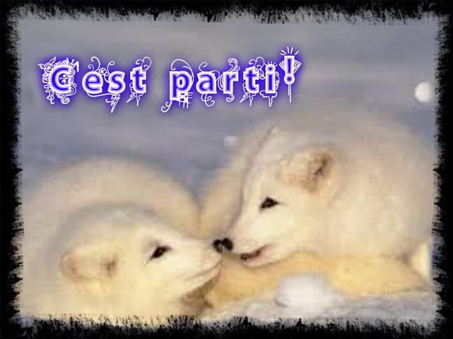 Concour montage de photo avec le logiciel pizap