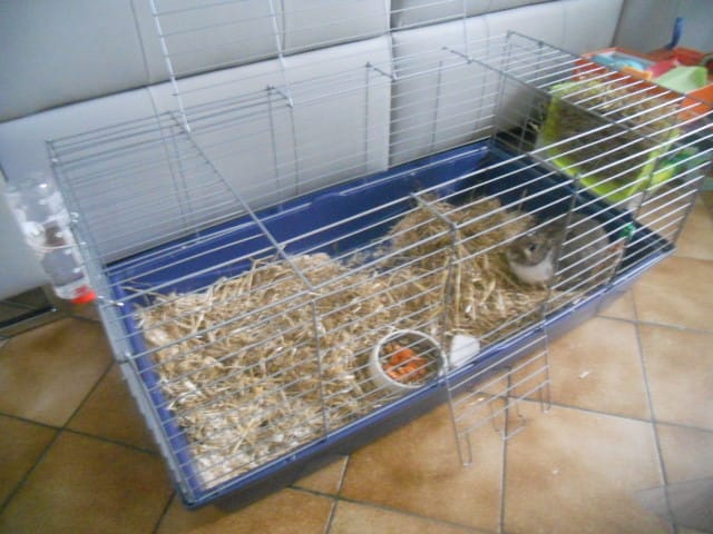 Les aventures de Cassidy :)