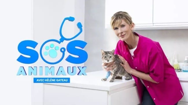 SOS Animaux : la nouvelle émission à retrouver le mardi soir sur 6ter