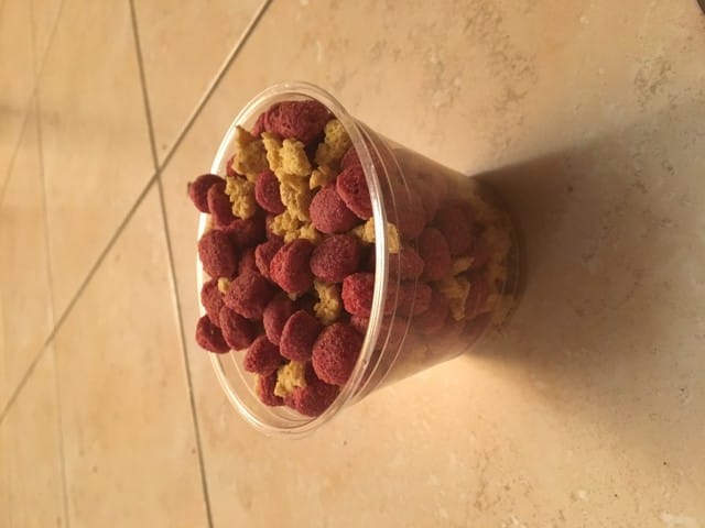 Friandise pour rongeur