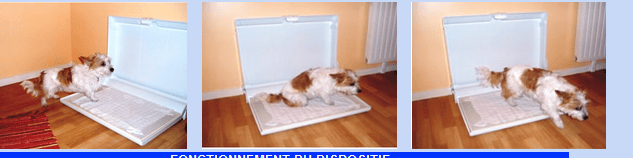 bacà urines pour chien