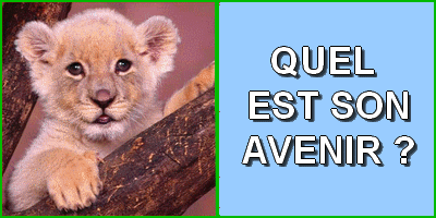 Quel est son avenir ?