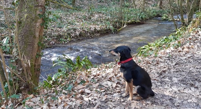 Votre (vos) balade(s) du jour...
