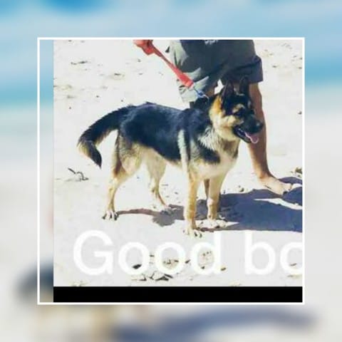 Jack 5mois