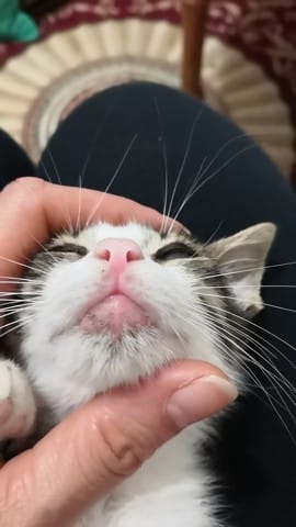 Dépilation sous la bouche et problème au cinquième doigt