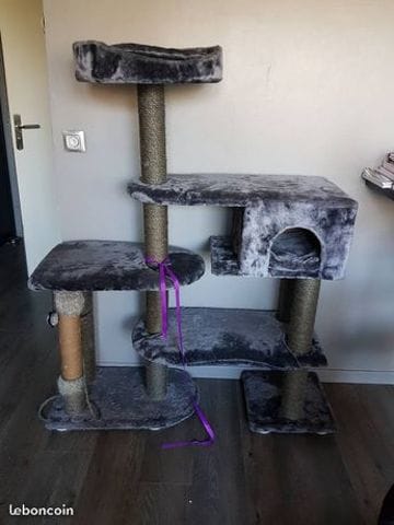 Avis arbre à chat pour Lapin