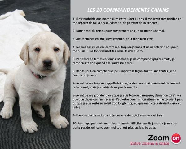 Les commandements du maitre 