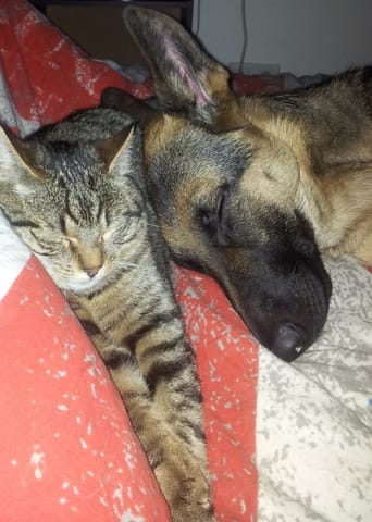 La question qui tue !