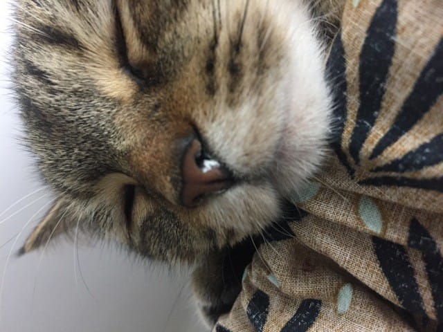 Je ne sais pas ce que c’est ?