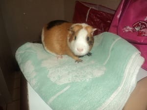 Caramel et toutes ses photos !